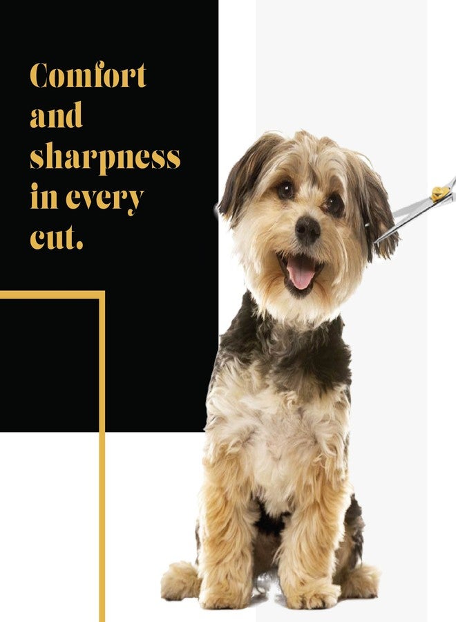 Sharf Gold Touch 440c Japanese Stainless Steal Pet Grooming Shear, 8.5 Inch Straight - Image 5
